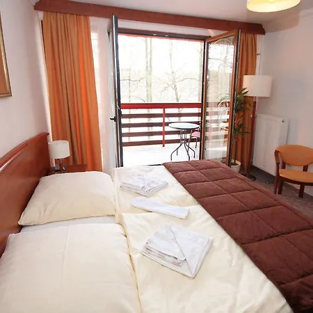 ホテル Hotel Garni Jagdschloss Waldsee Mit Fruehstuecksbuffet & Schlosskueche Fuer Selbstversorger 3*